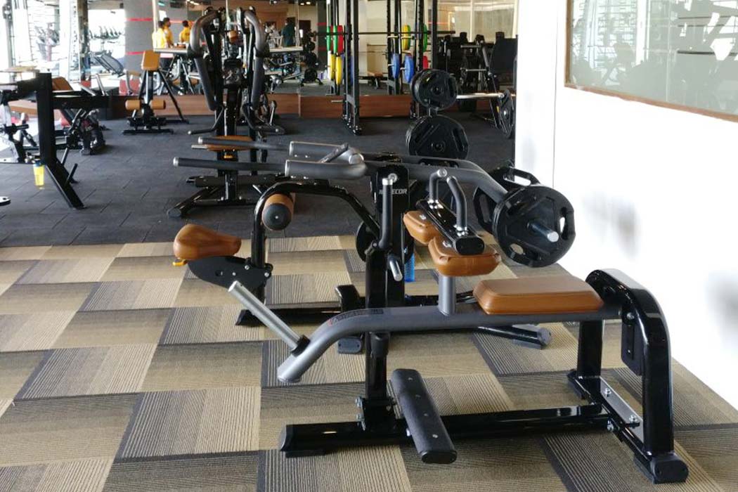 The Code Fitness Premium Ludhiana Gym Equipment Fitness Equipment